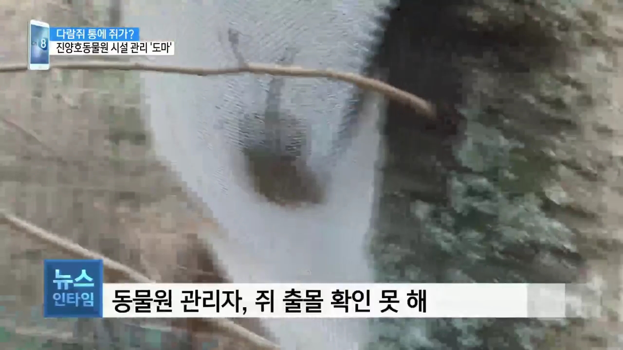 (스마트폰R) 다람쥐 통에 쥐 키우는 동물원 관리 소홀 '도마' 사진