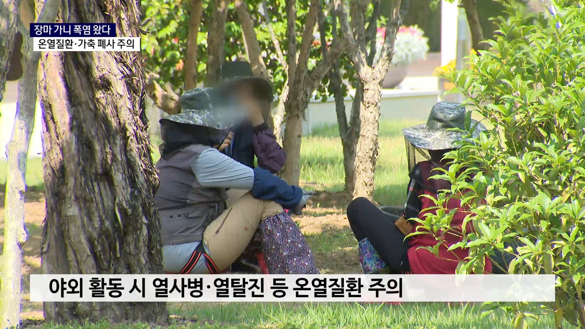 (R) 장마 가니 폭염 왔다..온열질환·가축 폐사 주의 사진