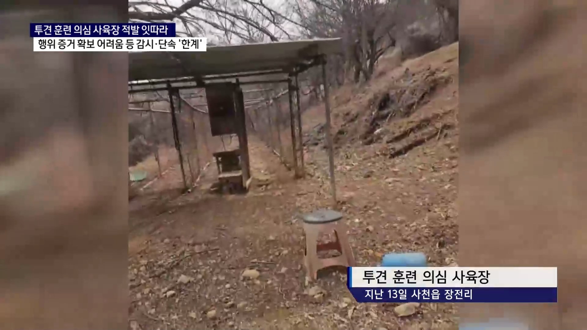 (R) 사천에서도 투견 훈련 의심 사육장 적발..