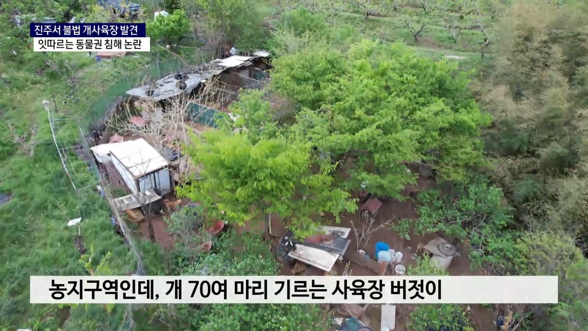 (R) 진주서 불법 개사육장 발견, 잇따르는 동물권 침해 논란 사진