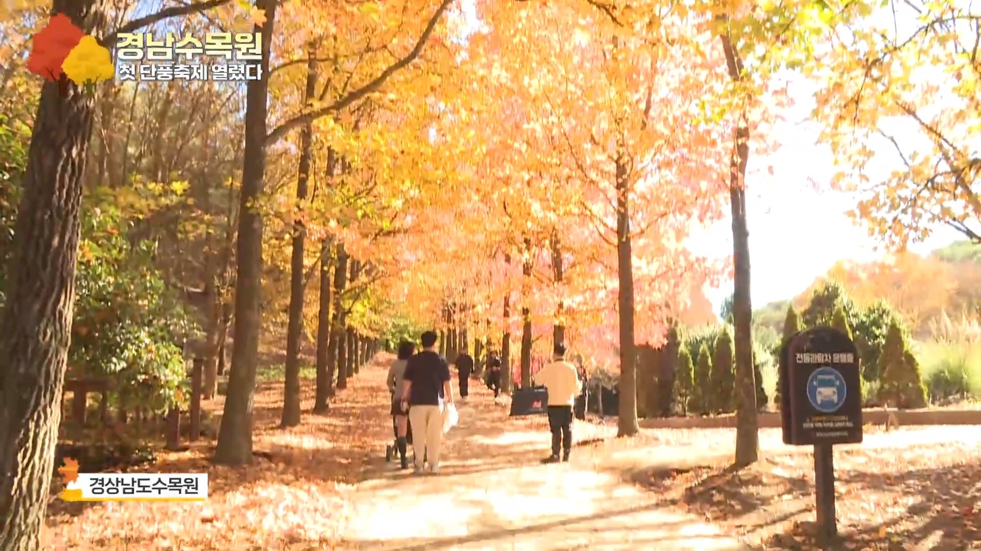 (영상 R) 경남수목원 첫 단풍축제 열렸다 사진