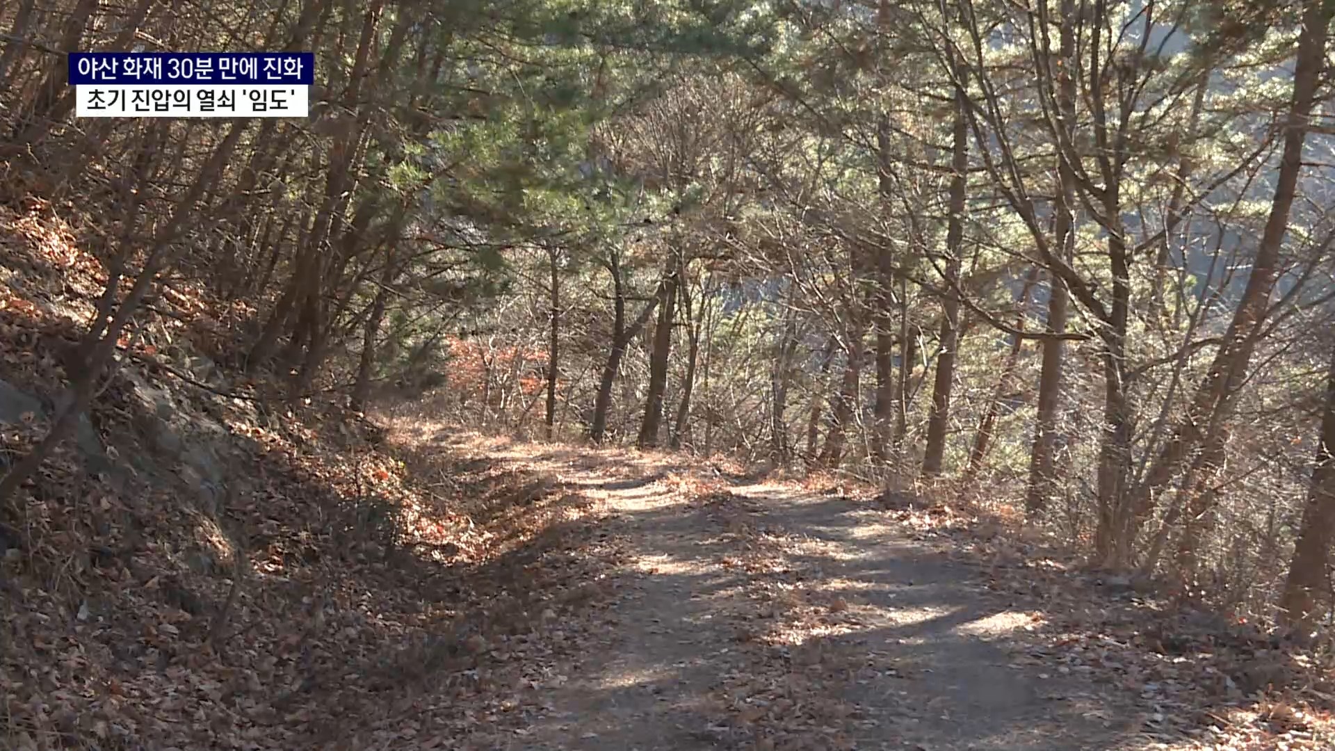 (R) 야산 화재 30분 만에 진화..초기 진압의 열쇠 '임도' 사진