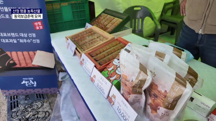 (R) 지리산 자락 명품 농특산물 동의보감촌에..대제전 열려 사진