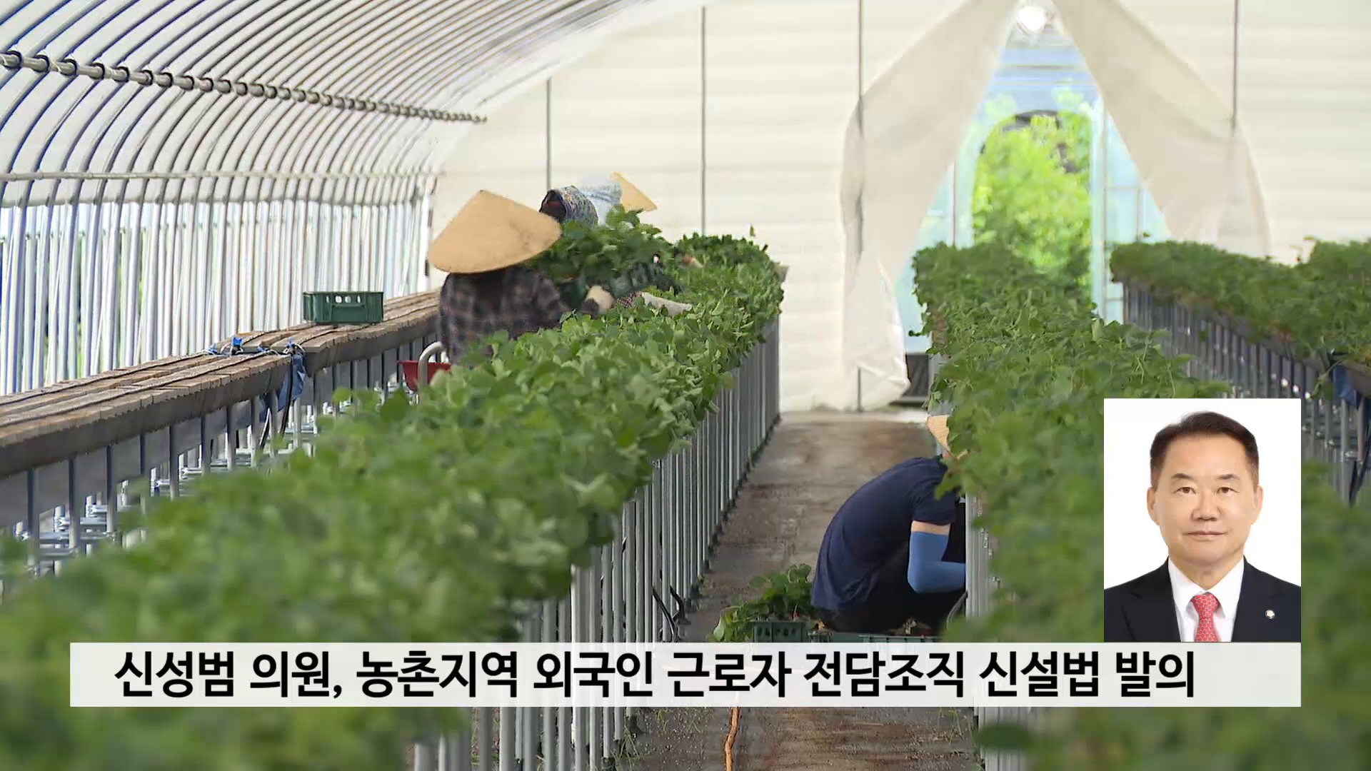 신성범 의원 농촌지역 외국인 근로자 전담조직 신설법 발의 사진