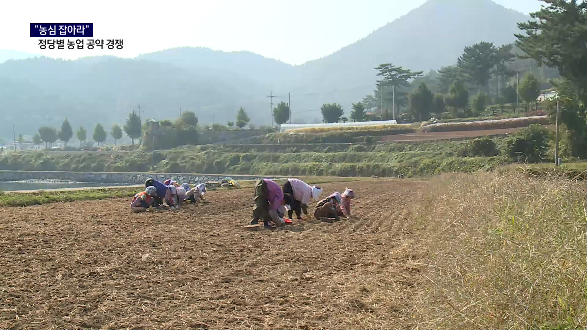 (R) 농심 잡아라..정당별 농업 공약 경쟁 사진