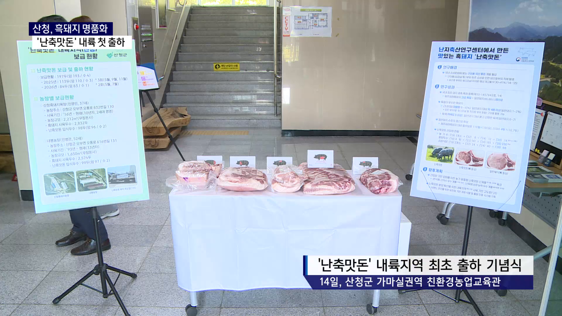 (R) 산청, 흑돼지 명품화...'난축맛돈' 내륙에서 첫 출하 사진