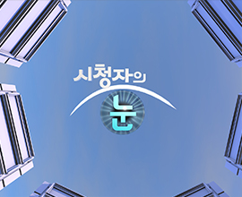 시청자의 눈