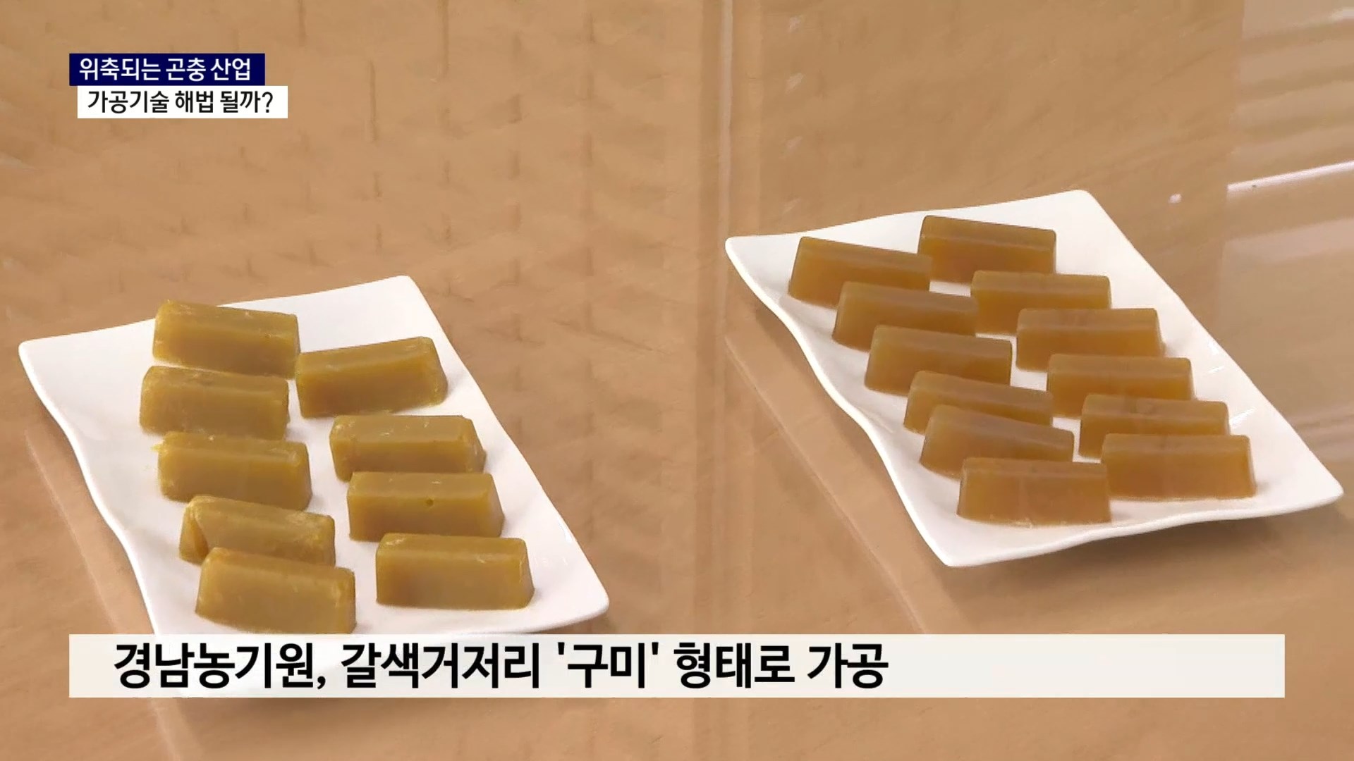 (R) 위축되는 곤충 산업..가공기술 해법 될까 사진