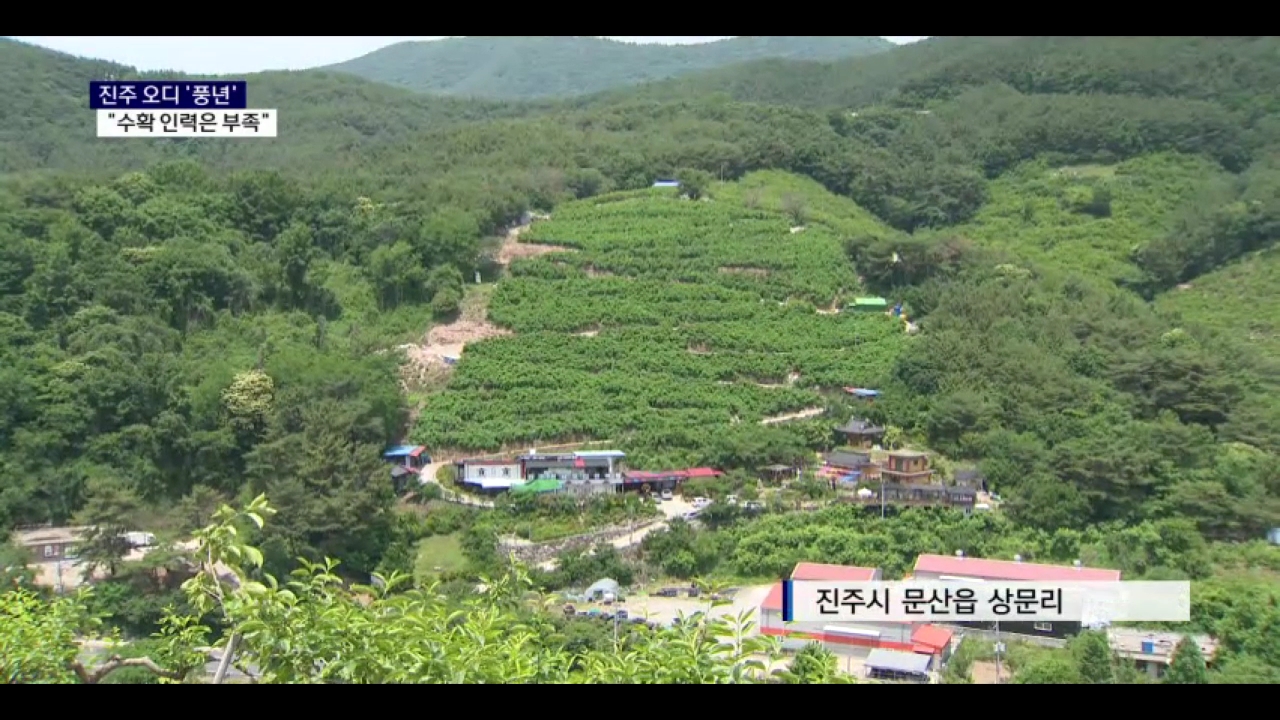 풍년인력 이미지