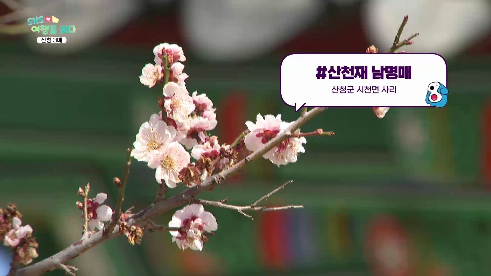(섹션R) SNS 여행을보다  사진