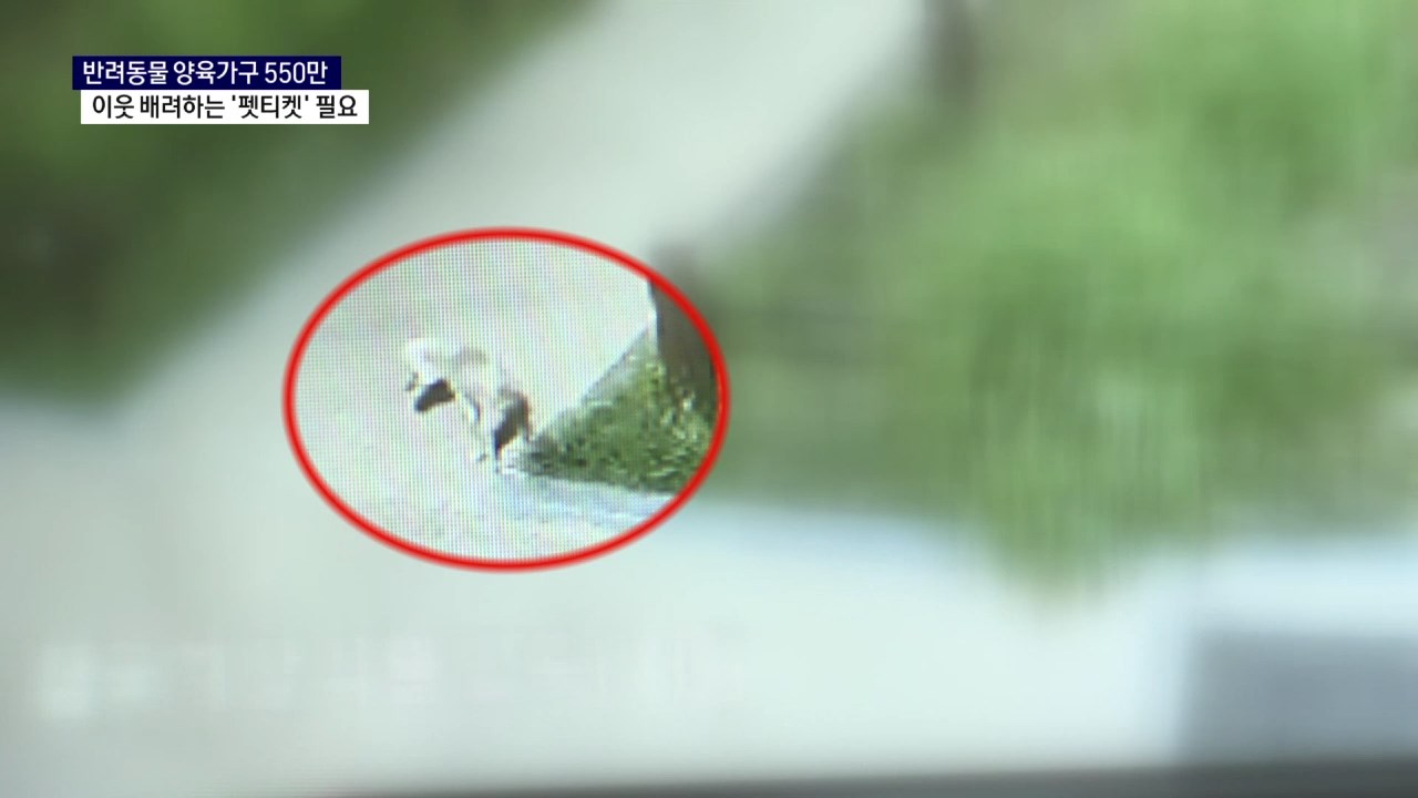 (R) 늘어나는 반려동물 양육가구..'펫티켓' 필요 사진