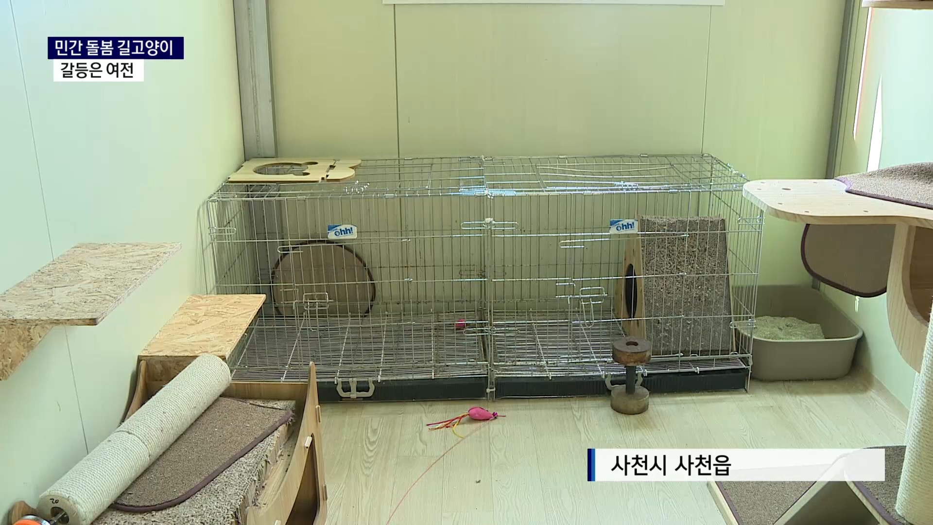 (R) 민간 돌봄 길고양이..갈등은 여전 사진