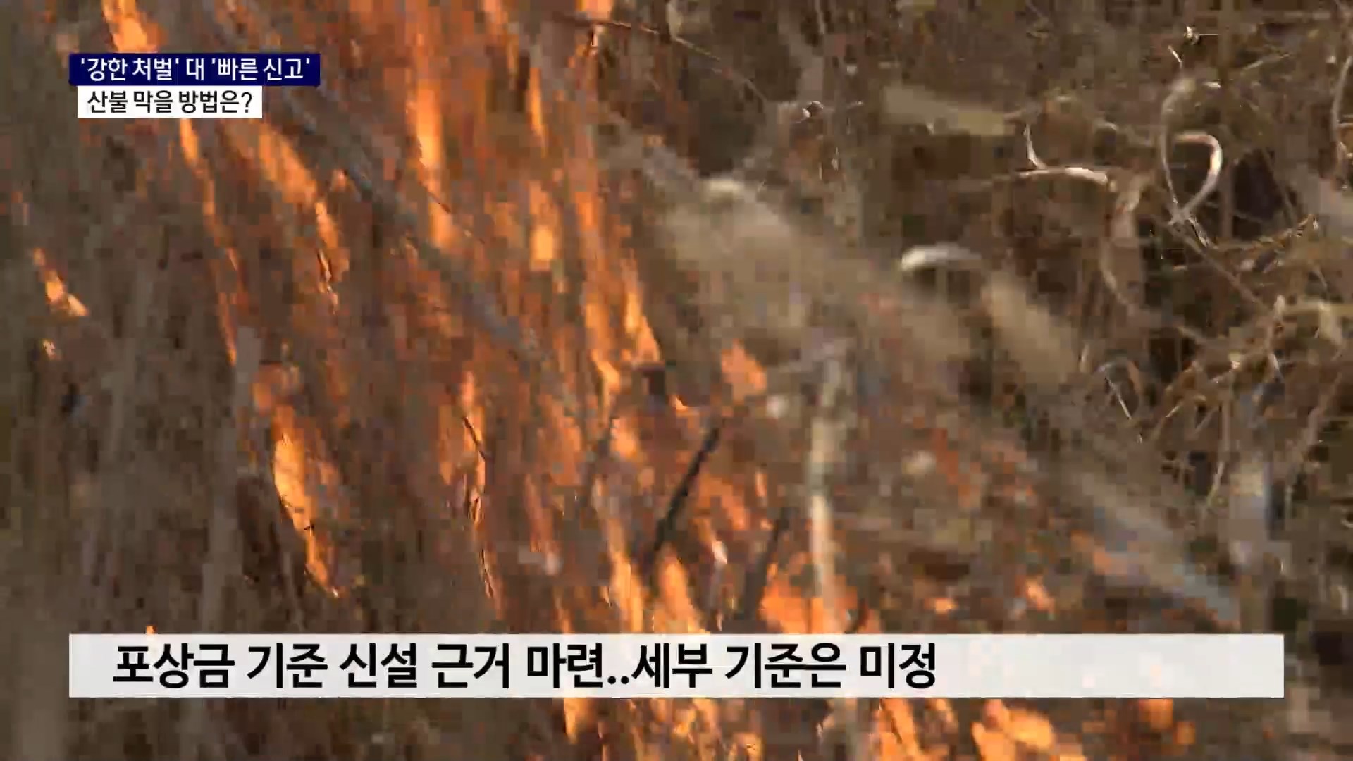(R) 강한 처벌 vs 빠른 신고..산불 막을 방법은 사진