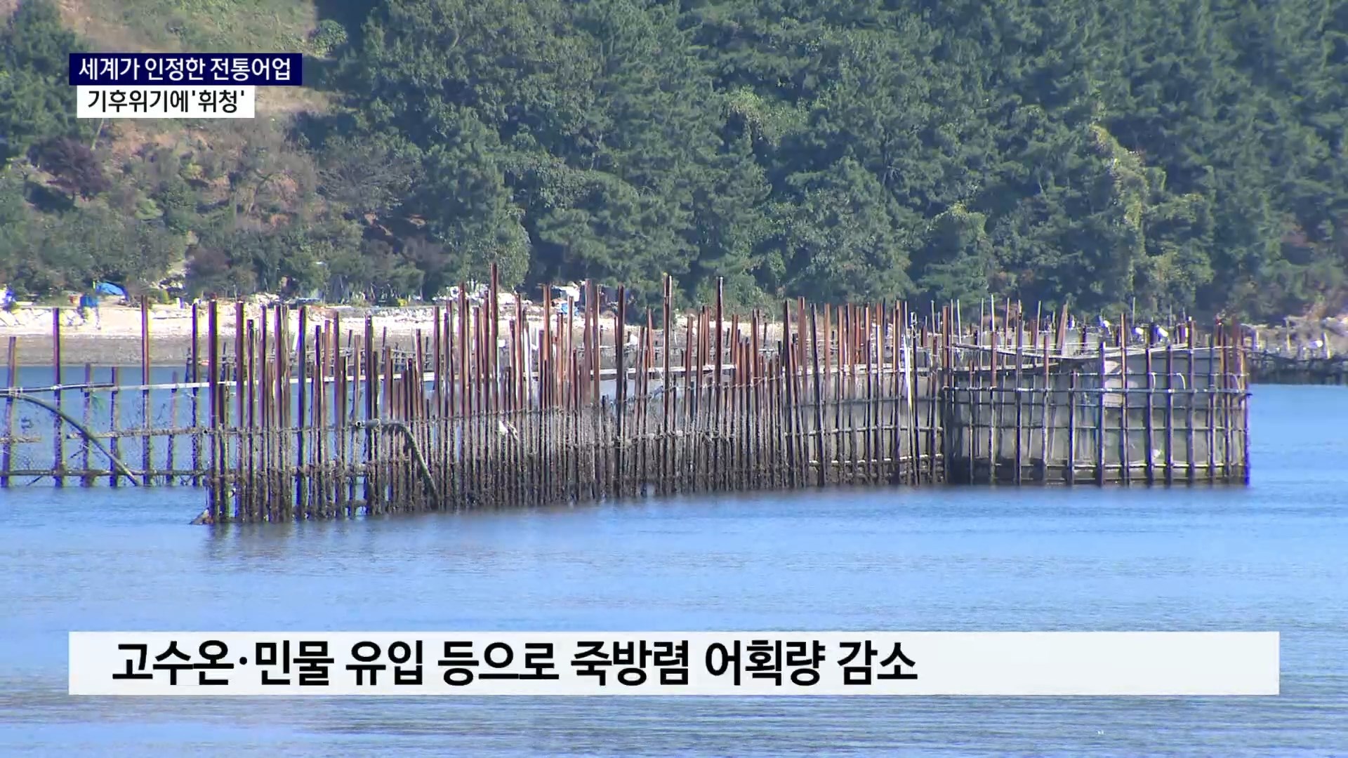 (R) 세계가 인정했지만..기후가 흔드는 전통어업 사진