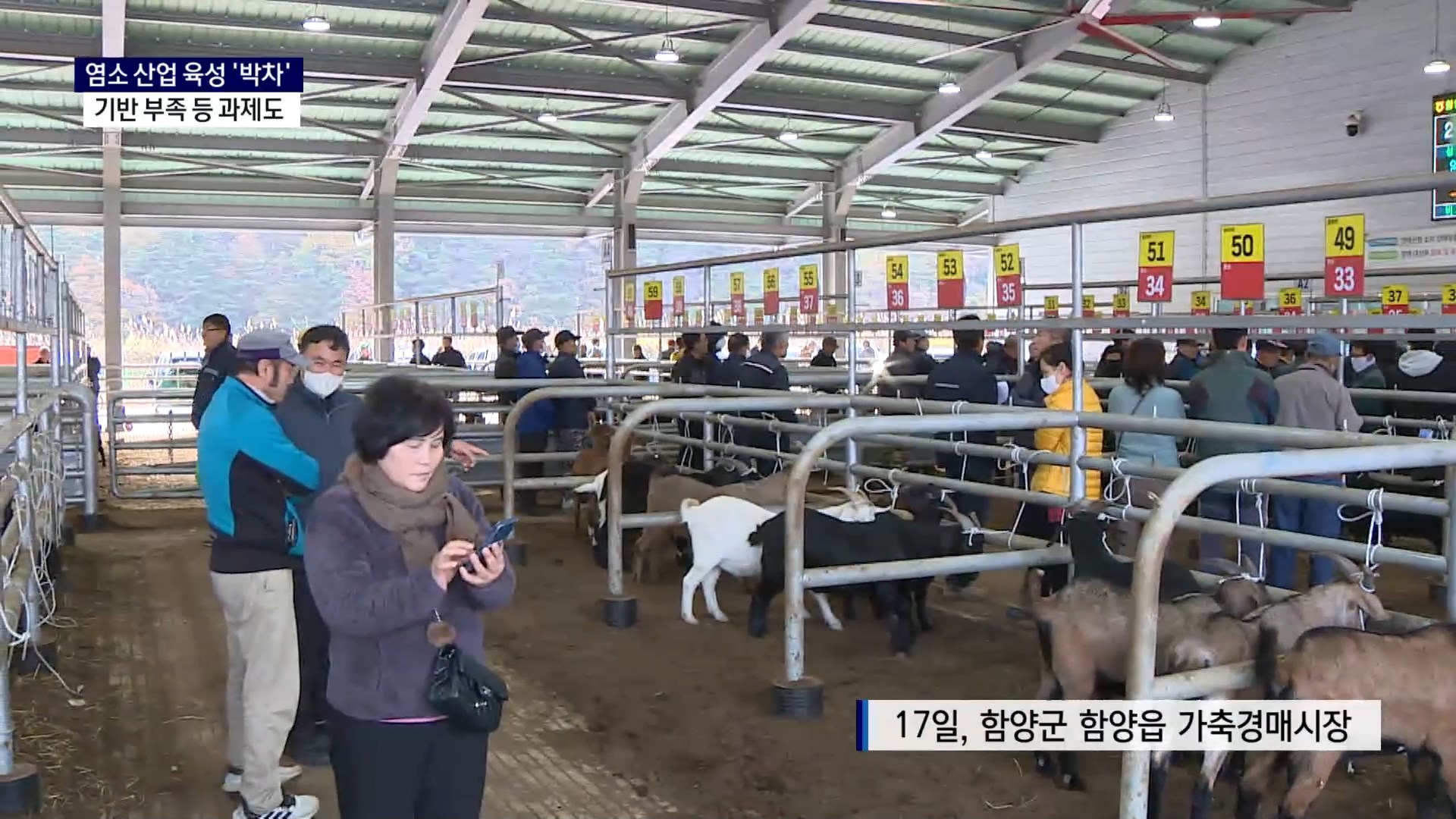 (R) 경남 염소 산업 육성 박차..기반 부족 등 과제도 사진