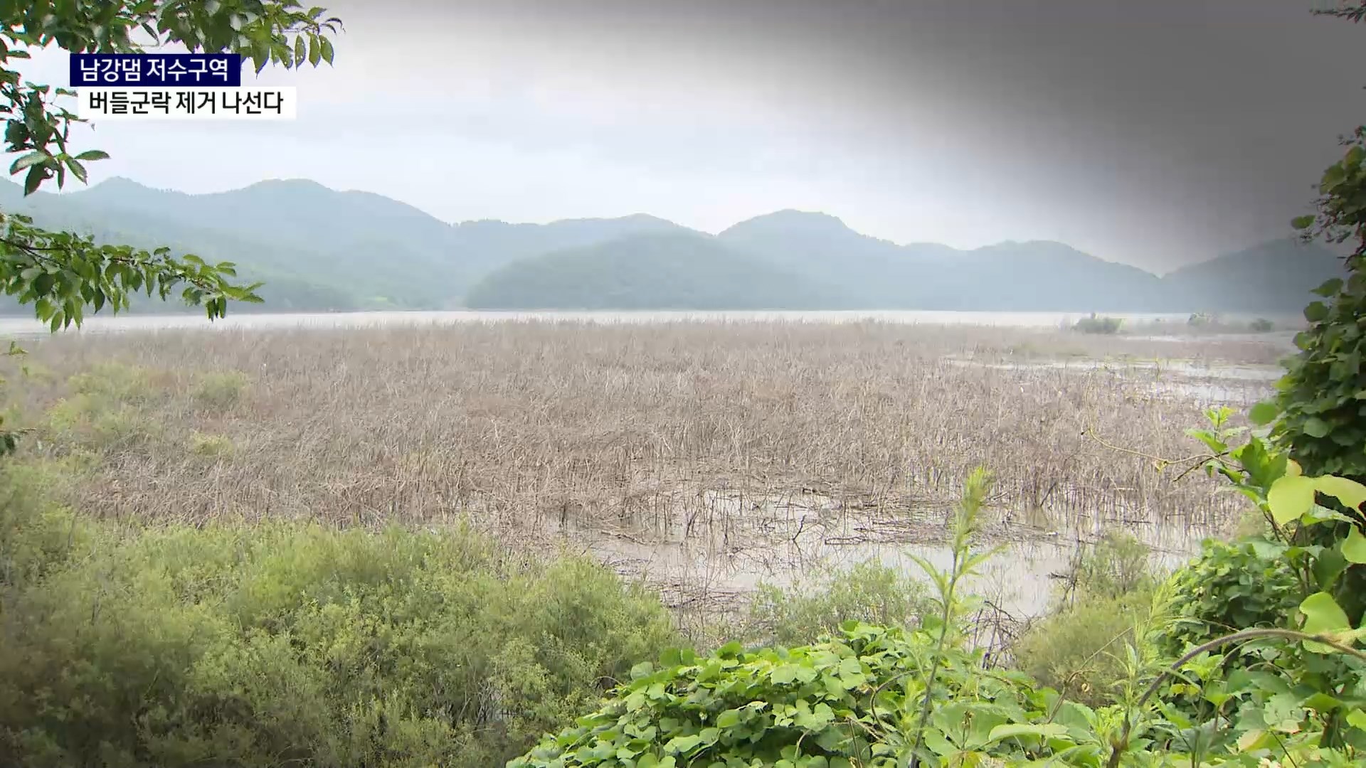 (R) 수십 년 남강댐 '버들' 고통..드디어 해방되나 사진