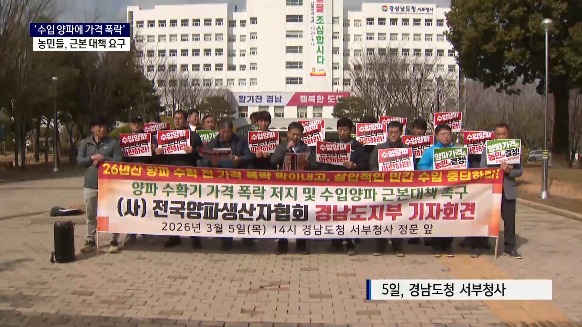 (R) '국내 생산량 충분한데도 수입'..양파값 하락에 농민 '분통' 사진