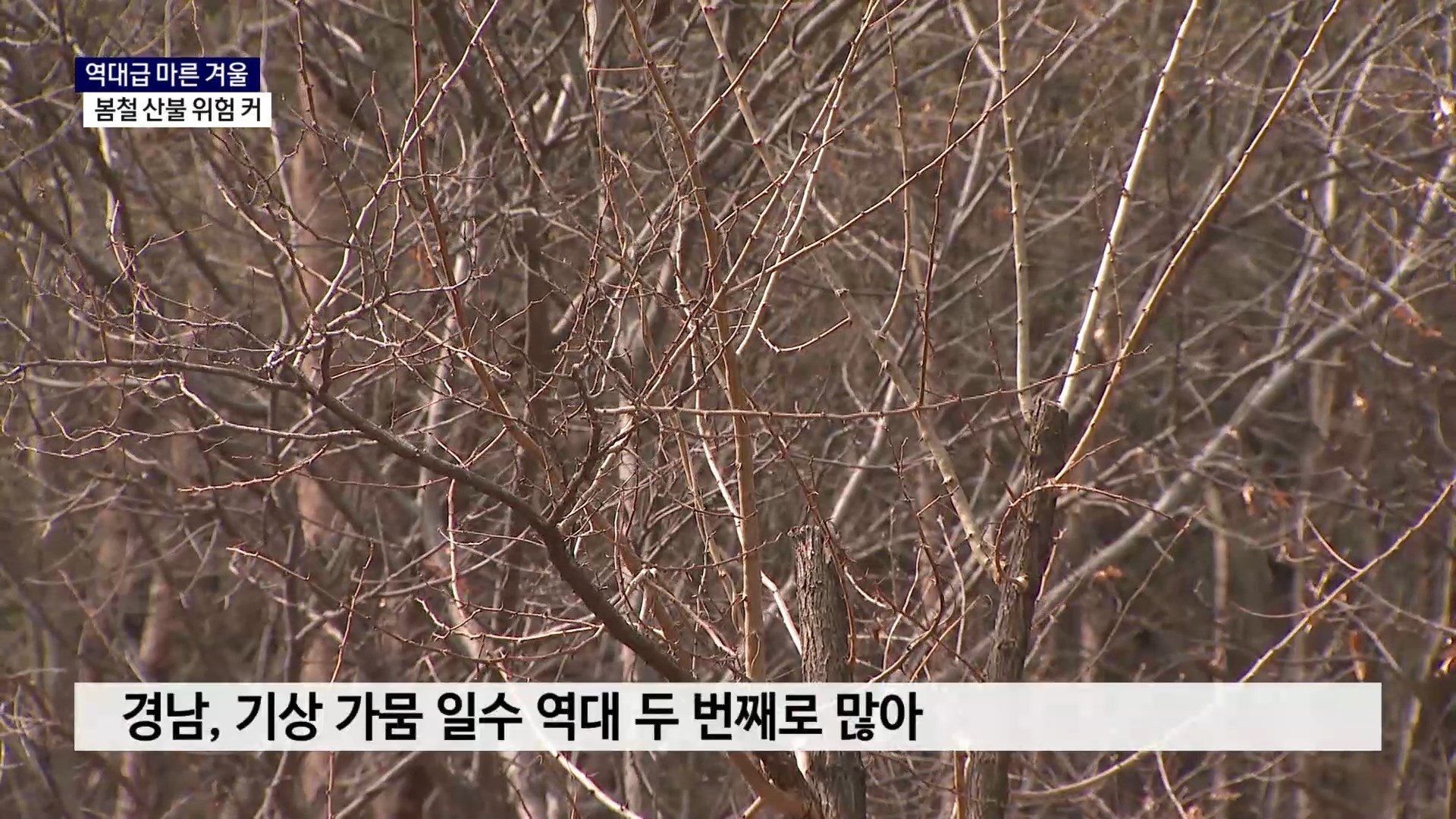 (R) 역대급 건조했던 겨울..봄철 산불 위험 커 사진