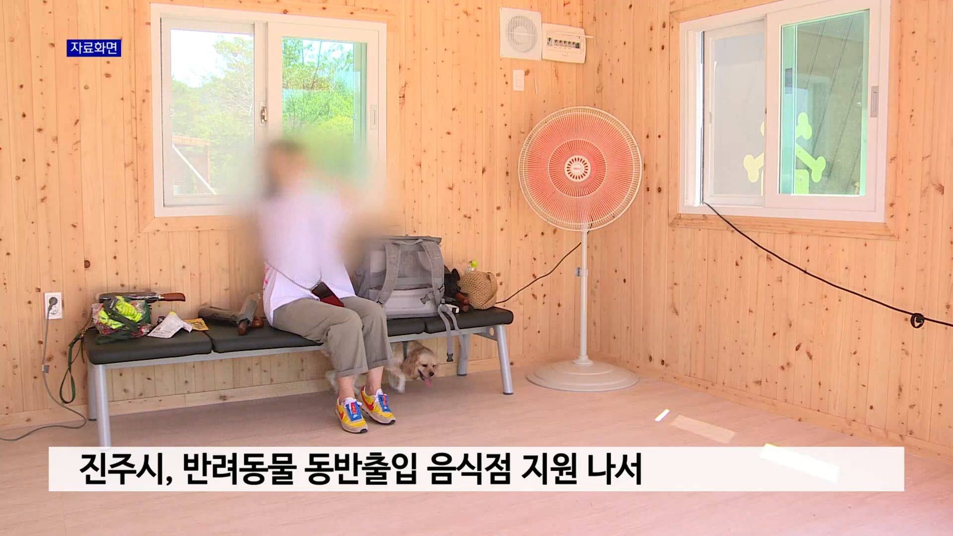 진주시, 반려동물 동반출입 음식점 지원 나서 사진