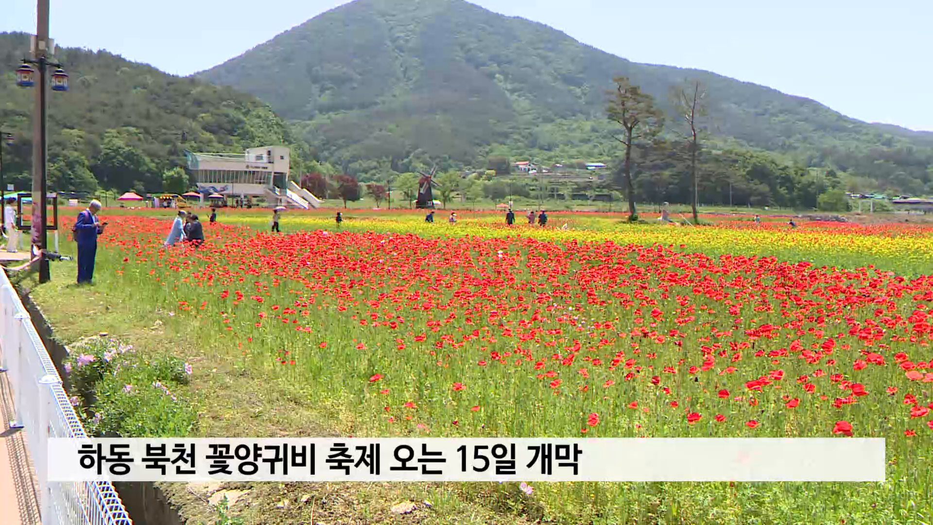 하동 북천 꽃양귀비 축제 오는 15일 개막 사진