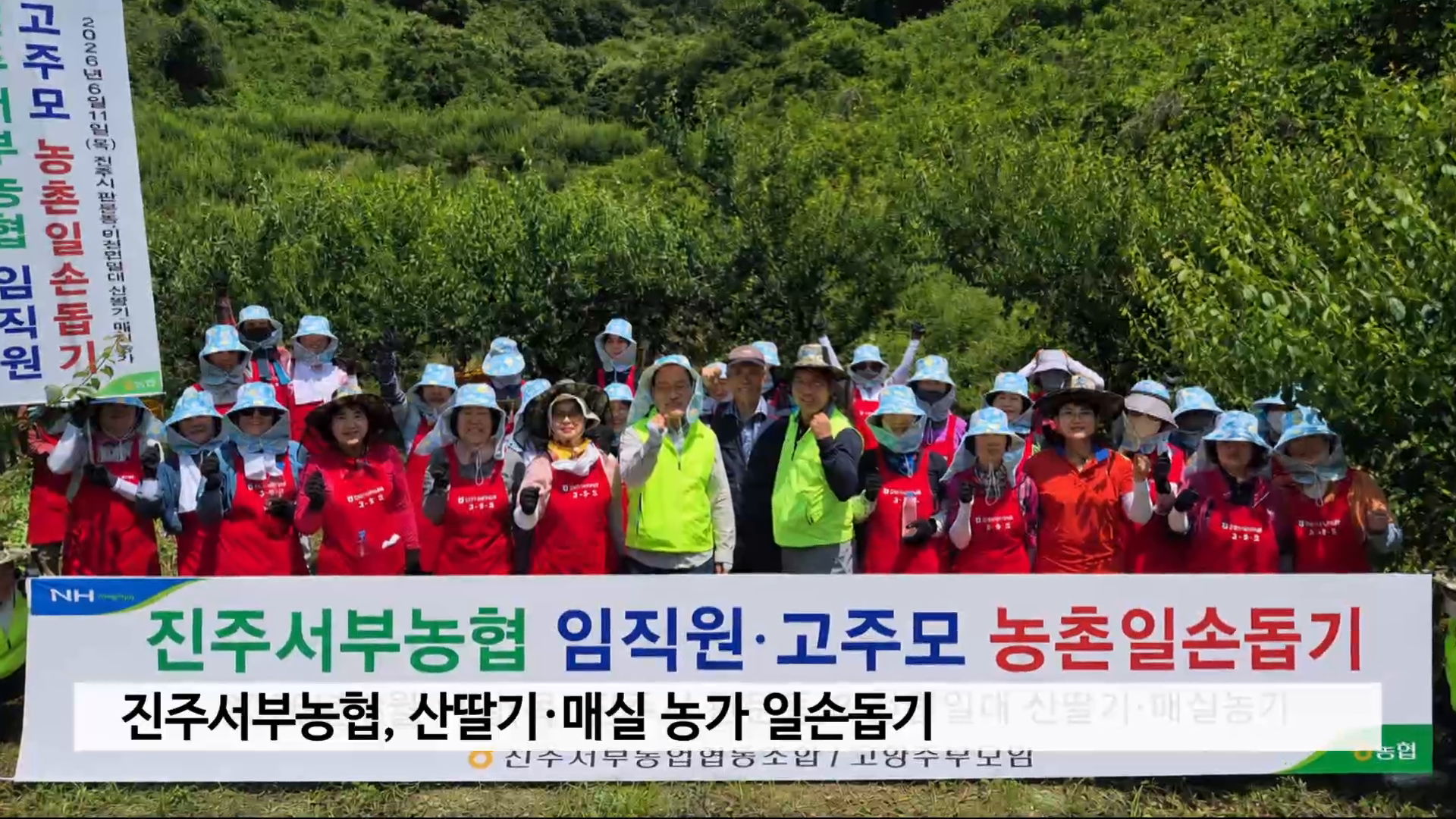 진주서부농협, 산딸기·매실 농가 일손돕기 사진