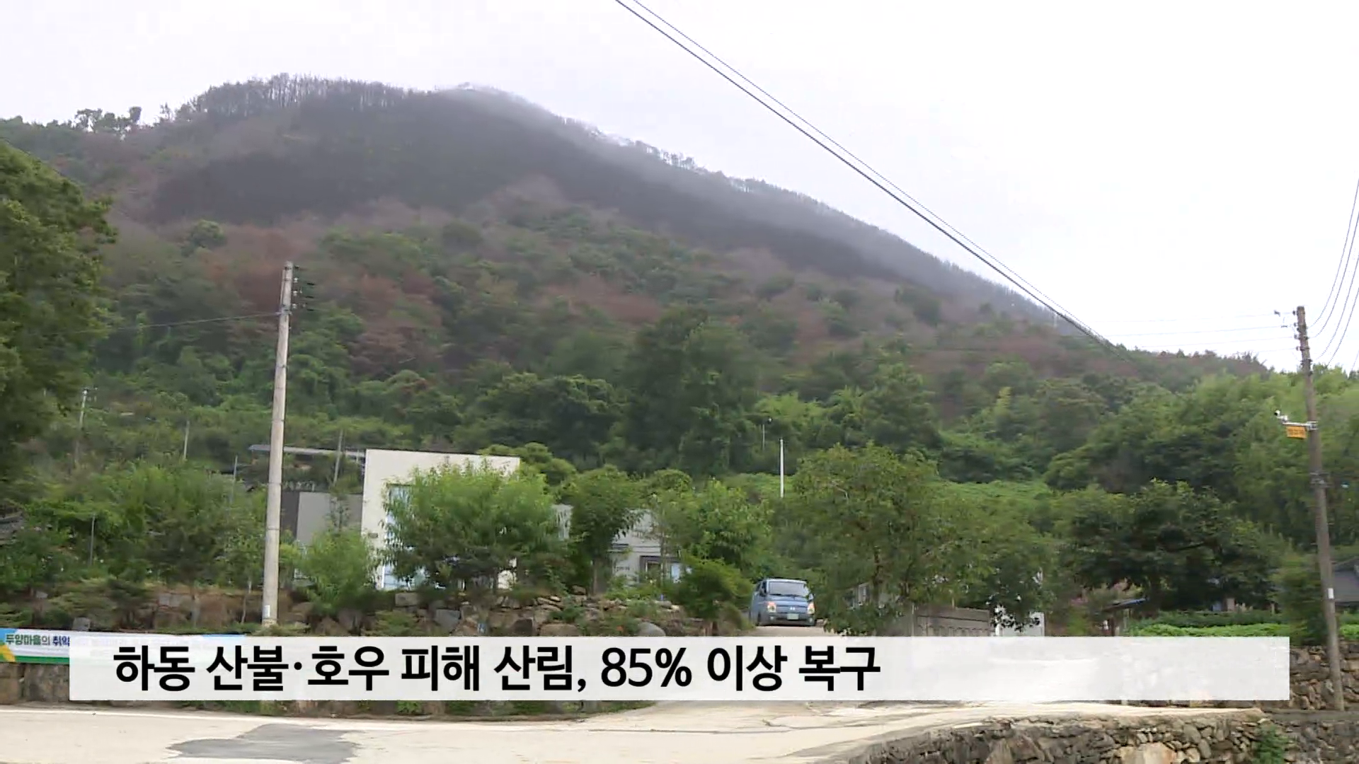 하동 산불·호우 피해 산림, 85% 이상 복구 사진