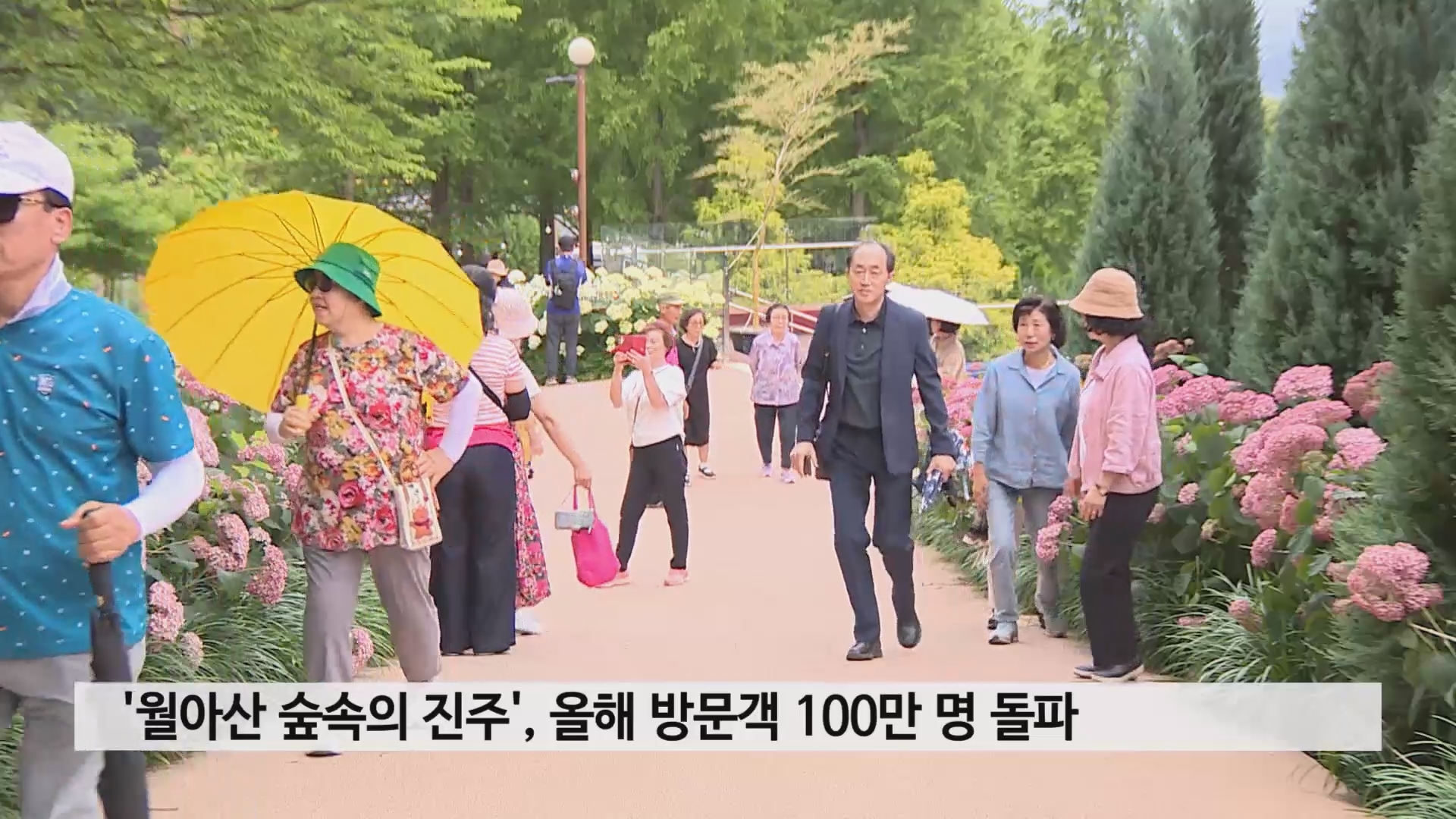 '월아산 숲속의 진주', 올해 방문객 100만 명 돌파 사진