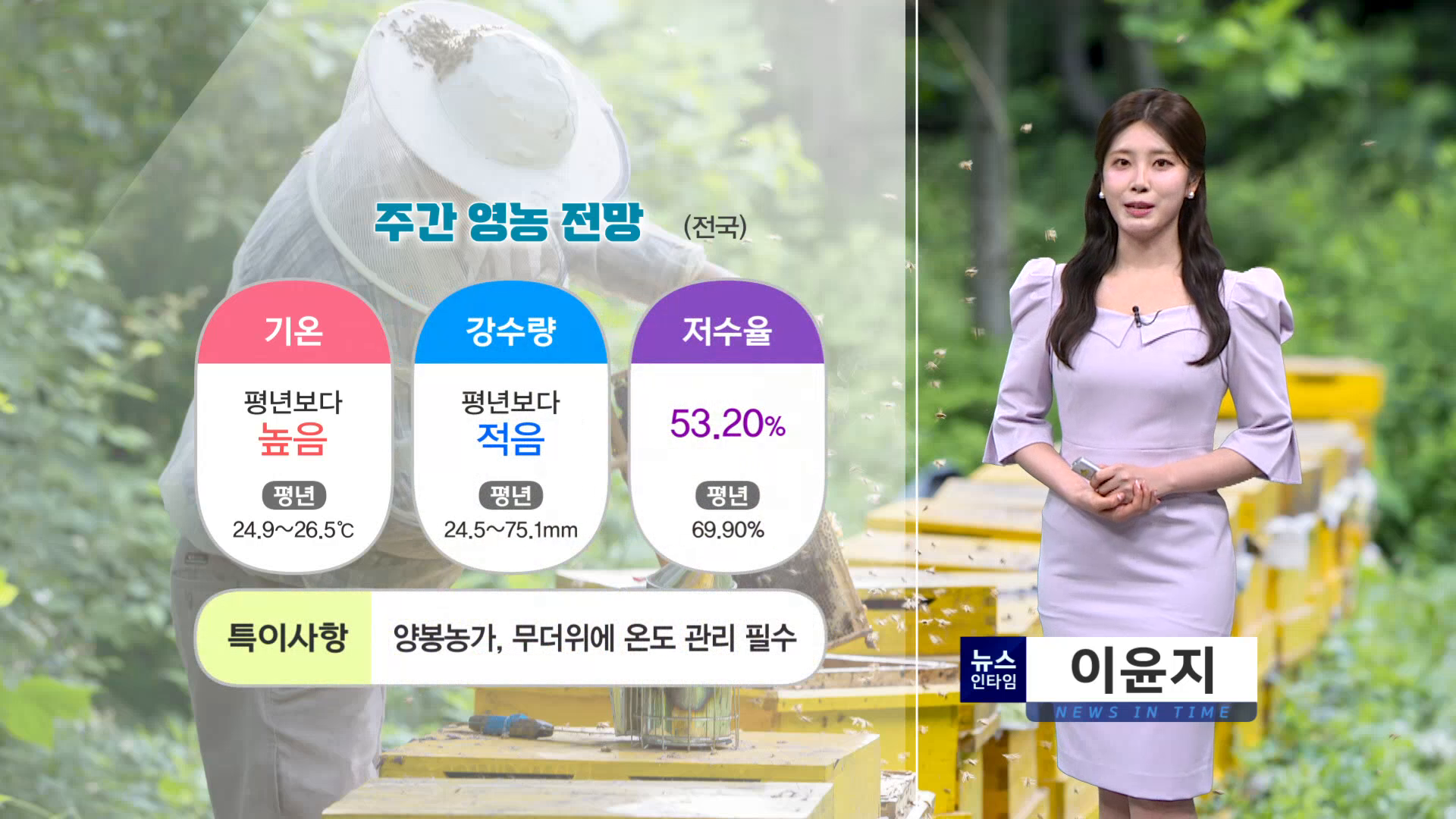 (인타임날씨) 8월 11일 화요일 사진