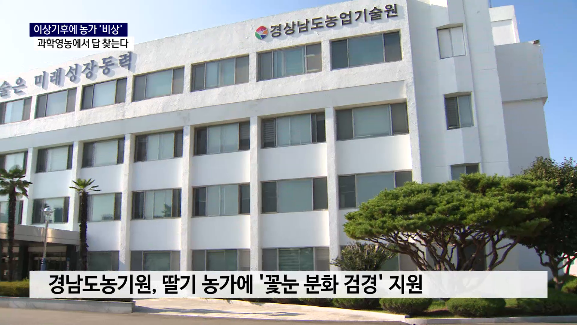 (R) 이상 기후..과학영농에서 답 찾는다 사진