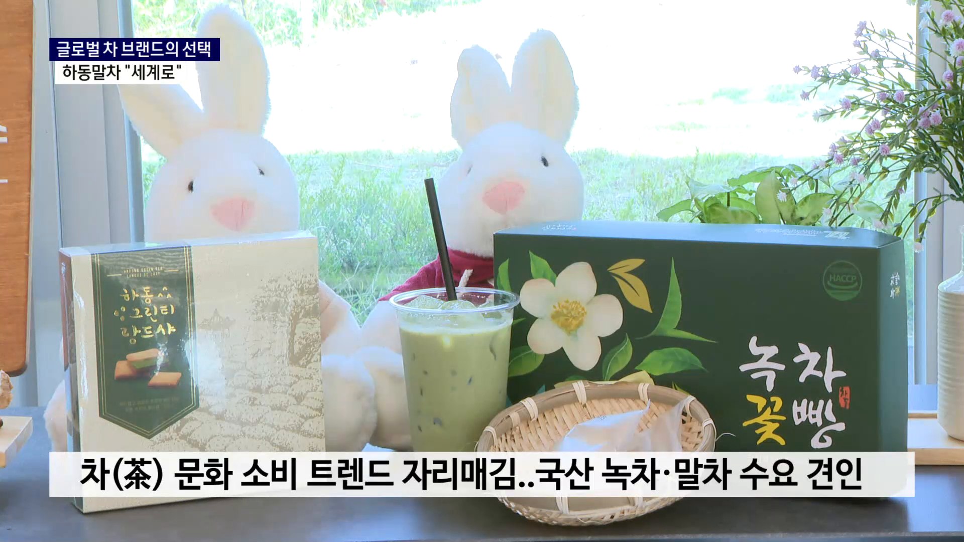 (R) 글로벌 차 브랜드 선택한 하동말차 