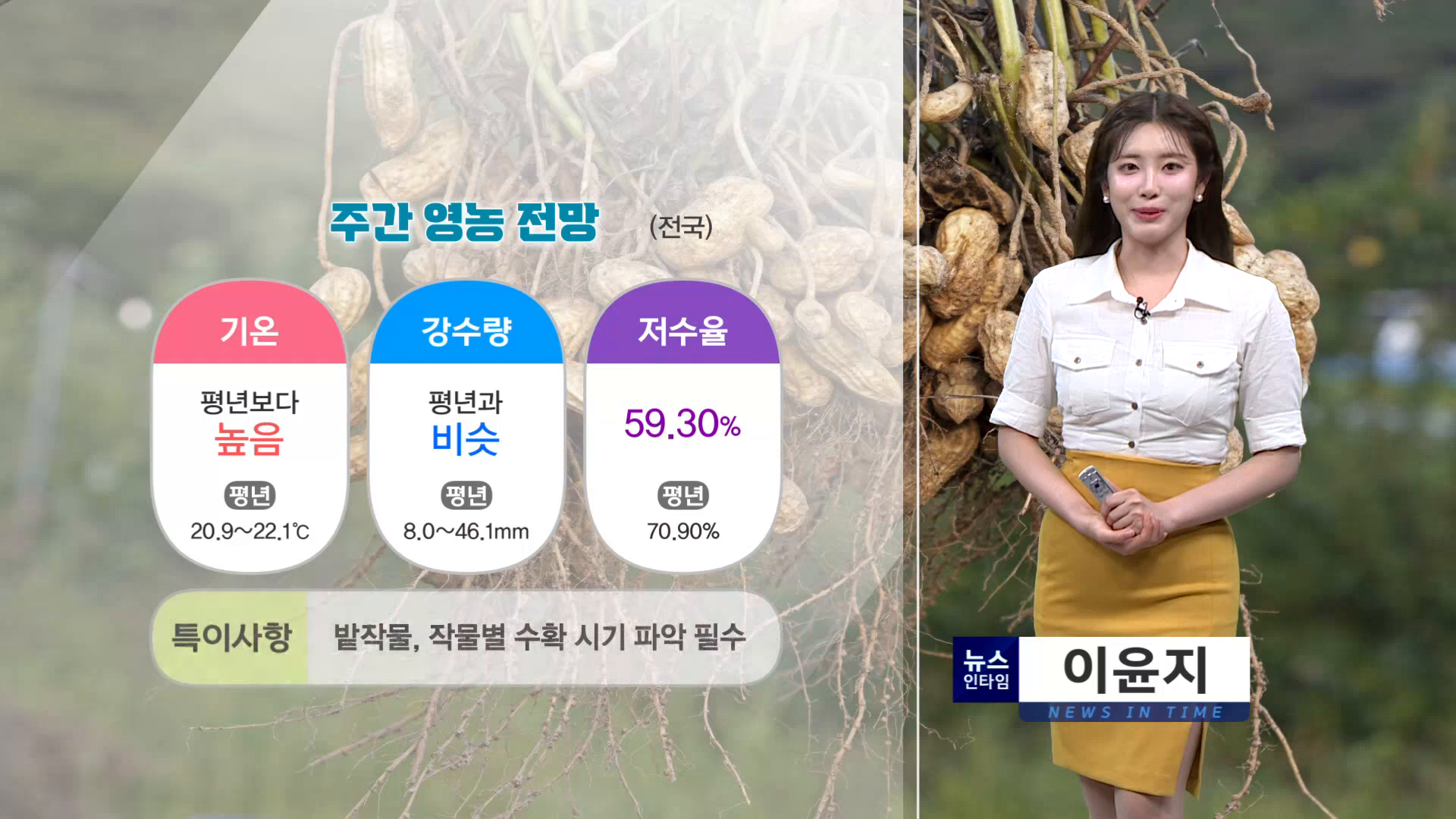 (인타임날씨) 9월 8일 화요일 사진