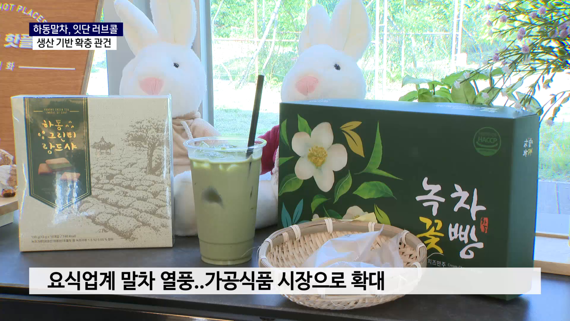 (R) 하동말차, 잇단 러브콜..생산 기반 확충 관건 사진