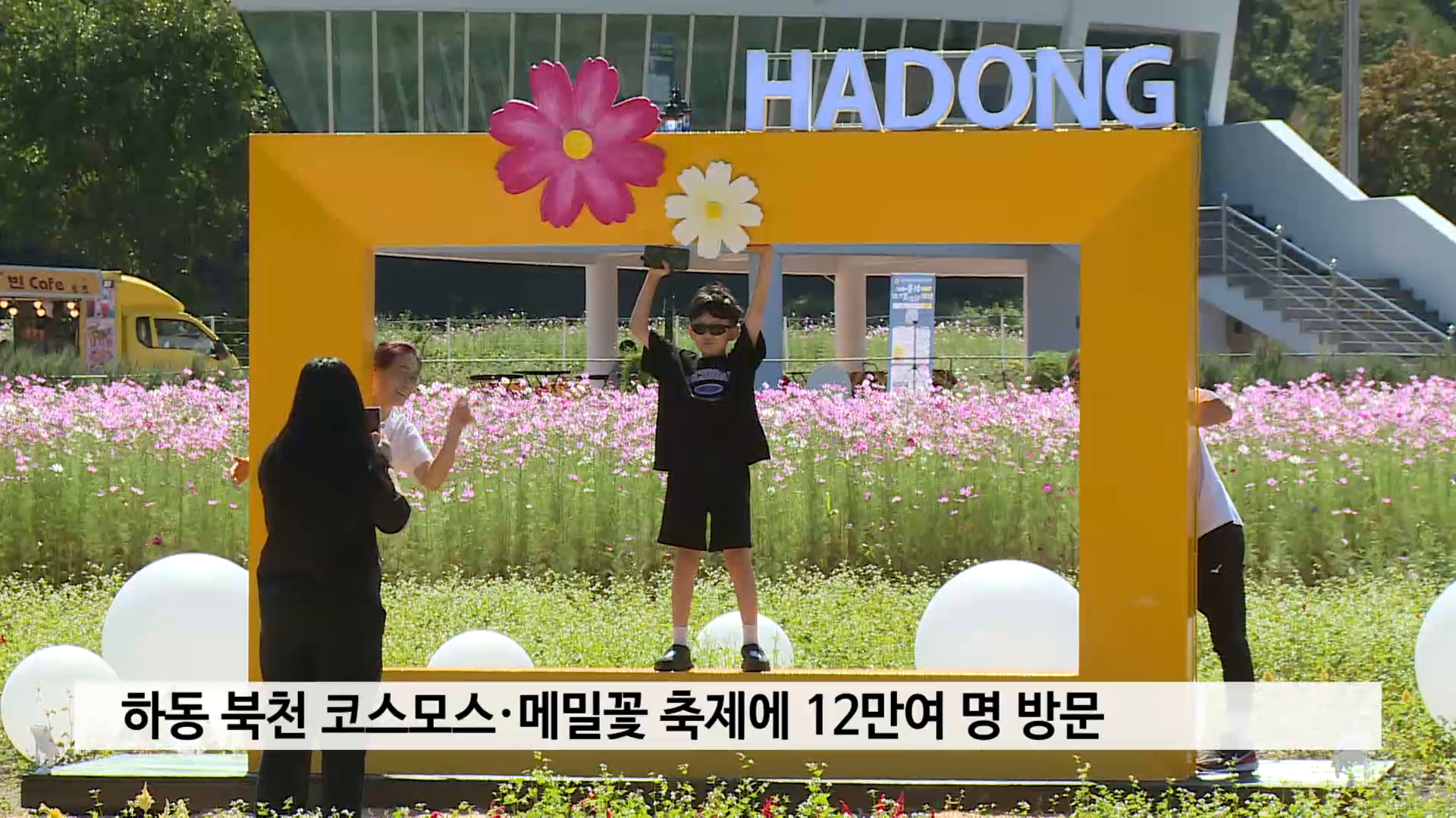 하동 북천 코스모스·메밀꽃 축제에 12만여 명 방문 사진